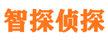 海原市婚外情取证